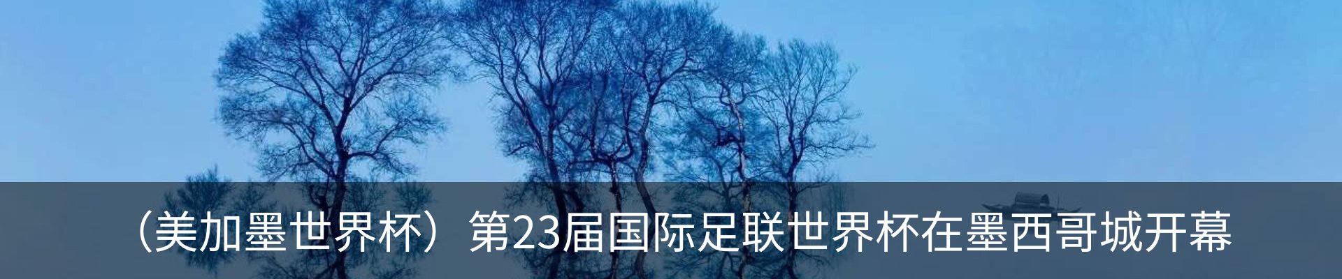 新闻动态